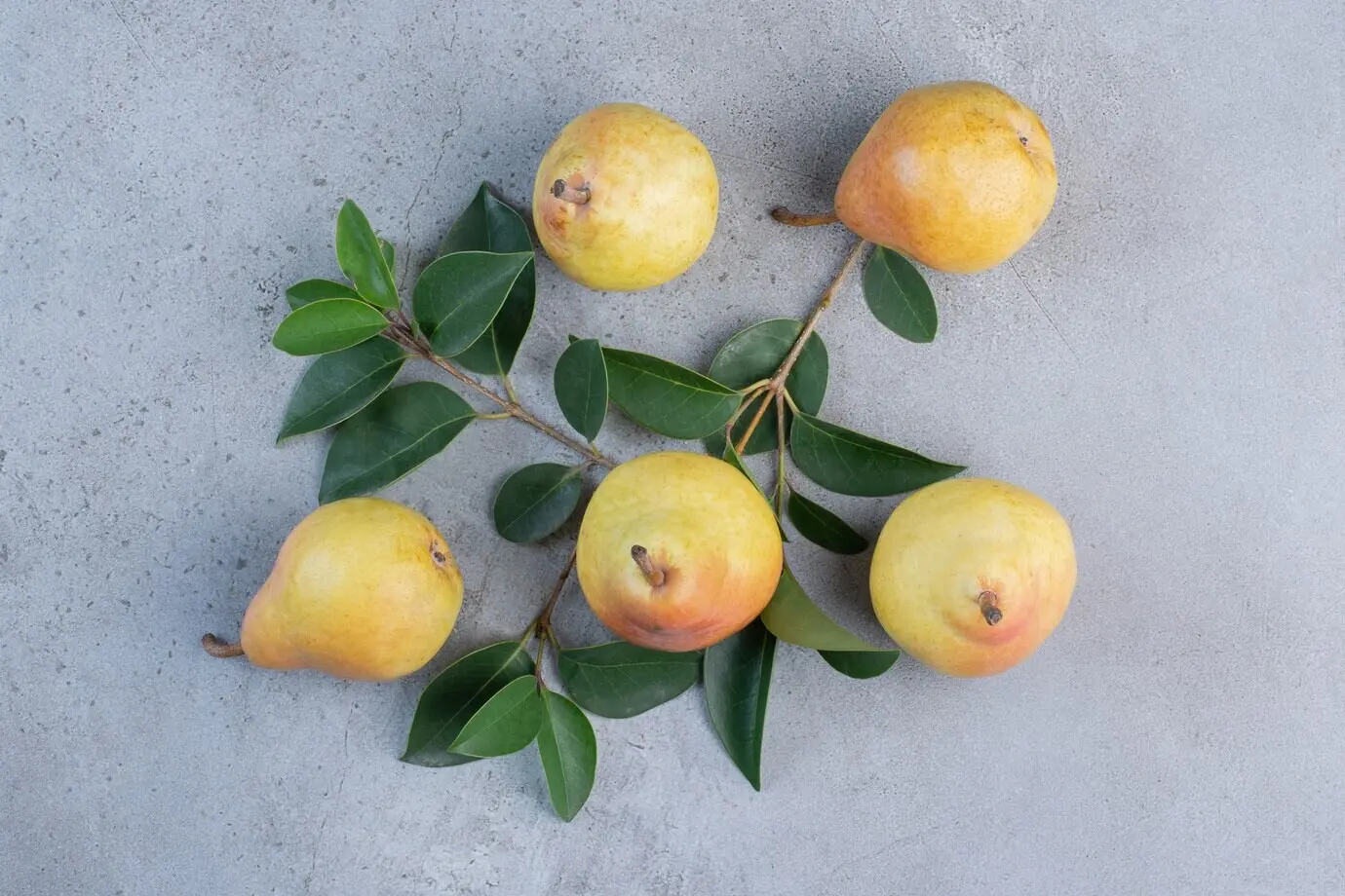 Bündel aus Blättern und Birnen auf einem Hintergrund aus Marmor.